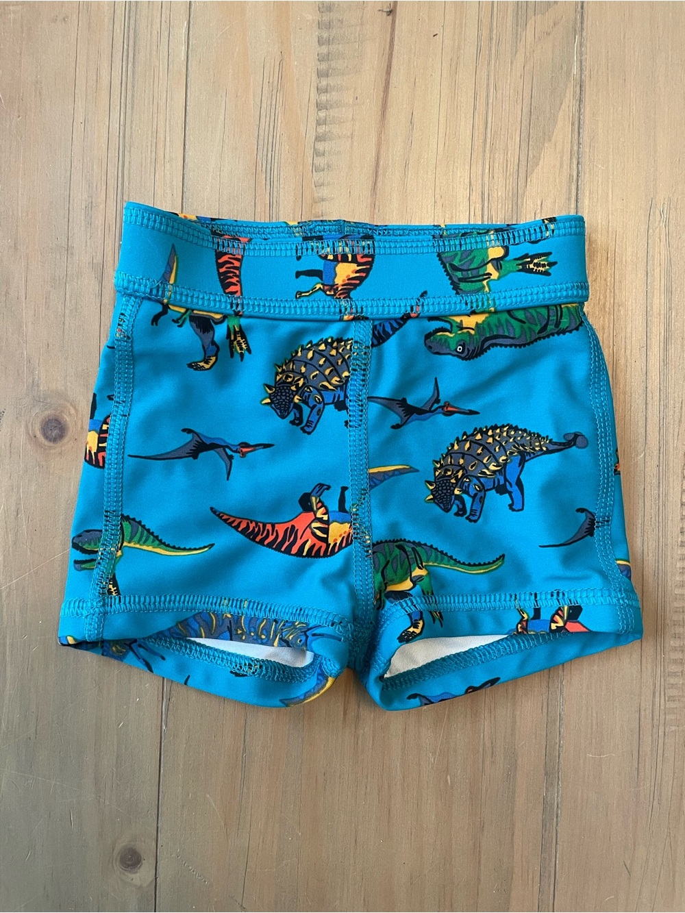 Hanna Andersson Baby 0-3 Months Dinosaur Turquoise Swim Shorts Bathing Suit